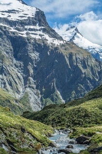 Majesty - Wilkin Valley New Zealand 
