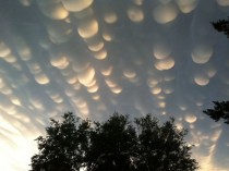 Mammatus Clouds Over Regina Saskatchewan Cloud pockets can develop that contain large droplets of water or ice that fall into clear air as they evaporate Such pockets may occur in turbulent air near a thunderstorm 