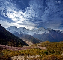 Manaslu Mountain near Bimthang Nepal  by Mohan Duwal x-post rNepalPics