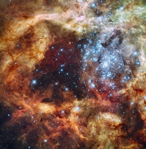 Massive Blue Supergiant Star In Tarantula Nebula  Times The Size Of Our Sun