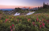 Mazama Ridge Wildflower Sunset By Ray Green 