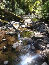 McDowell Creek Oregon 