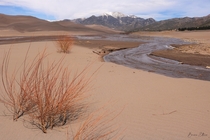 Medano Creek in the Great Sand Dunes National Park 