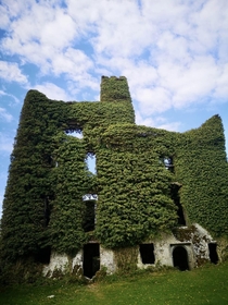 Menlo Castle in Galway Ireland built in  ruined due to a fire in  still hauntingly beautiful in 