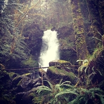 Merriman Falls - Quinault Washington USA 