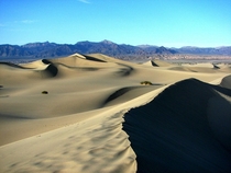 Mesquite Dunes Death Valley CA 