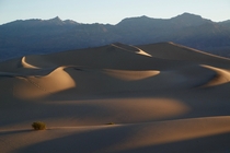 Mesquite Flat Sand Dunes at Sunrise Death Valley National Park in California 