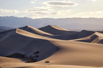 Mesquite Flat Sand Dunes Death Valley 