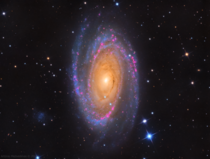 Messier  Bodes galaxy