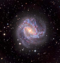 Messier  - Southern Pinwheel Galaxy 