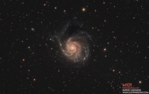 Messier  The Pinwheel Galaxy