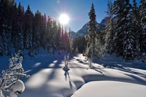 Mid- day sun in the dead of winter - Kananaskis Country AB Canada - 