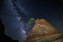 Milky Way and Sandstone Zion NP 