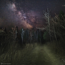 Milky way over a forest trail Captured on a night hike at Split Rock Lighthouse State Park in Minnesota 