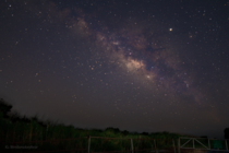 Milky Way over Louisiana wetlands