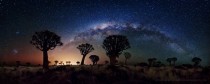 Milky Way over Quiver Tree Forest in southern Namibia 
