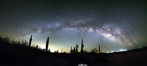 Milky Way over the Sonoran Desert 