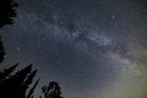 Milky way seen from the light polluted Netherlands  hope you guys like it since Im no pro