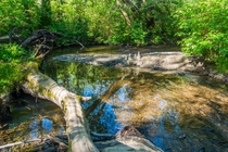 Miller Creek in Normandy Park Washington 