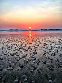 Miniature shells and sunset on Varca Beach  Goa India  x