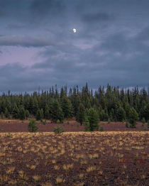 Minimalistic Landscape at the foot of Mount Mazama Oregon  IG holysht