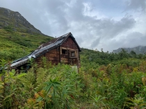 Mining cabin in Hatcher Pass Alaska