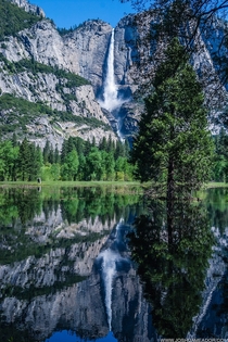 Mirror image of Yosemite Falls CA 