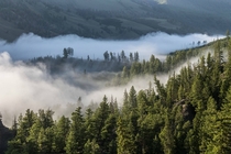 Mist rolling over the hills of Yellowstone at AM 