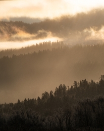 Misty Morning in Grand Teton National Park  vincentledvina