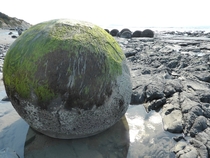 Moeraki boulder NZ 