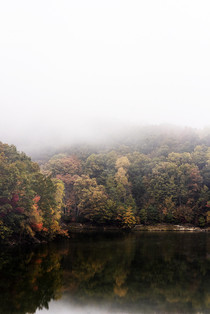 Mohican State Park Ohio in the fog 