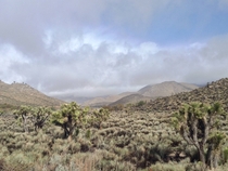 Mojave Desert meets the Sierra Nevada Walker Pass Ca 