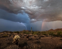 Monsoon Season Arizona 