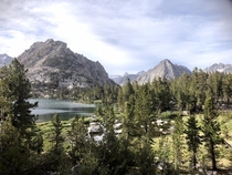 Montane Jeffrey pine collides with alpine granite peaks in the Sierra Nevada CA 