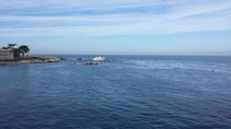 Monterey Bay 