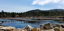 Monterey Bay California   x 