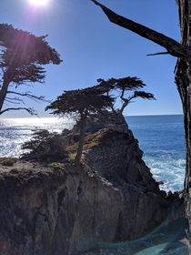 Monterey CA 