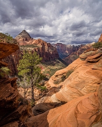 Moody clouds at Zion at Springtime Zion National Park Utah natureprofessor