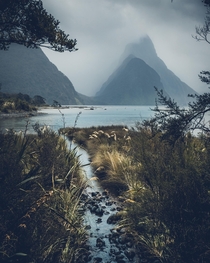 Moody days at Milford Sound The worse the weather is here the more epic it looks Milford Sound NZ 