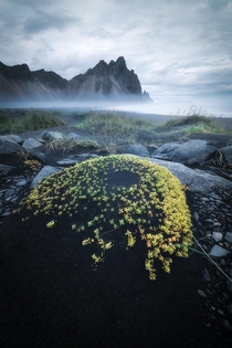 Moody fall days in Iceland  tristantodd