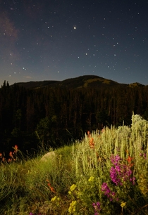 Moonlit night deep in the Wyoming backcountry 