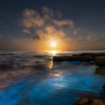 Moonset above crashing bioluminescent waves - San Diego California  jackfusco