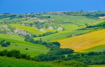 More Tuscan farmscapes