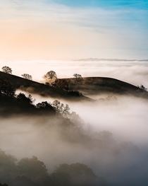 Morning fog on Mount Diablo in California 