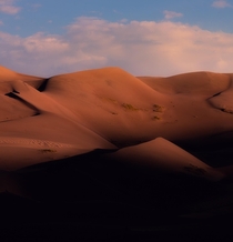 Morning light bathing the tallest dunes in North America Great Sand Dunes National Park Colorado 