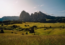 Morning light hitting the trees and gentle slopes of this landscape Alpe di Siusi Dolomites Italy 