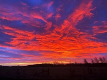 Morning sun Rennington Northumberland UK