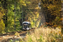 Moscow Streetcar In The Woods
