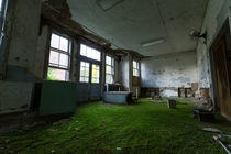 Moss Carpet in an Abandoned TB Sanitarium 