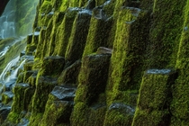 Moss covered basalt columns at the base of Proxy Falls in Oregon 